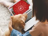 Ny AI-chattbot ska hjälpa hundägare att tolka sjukdomssymptom