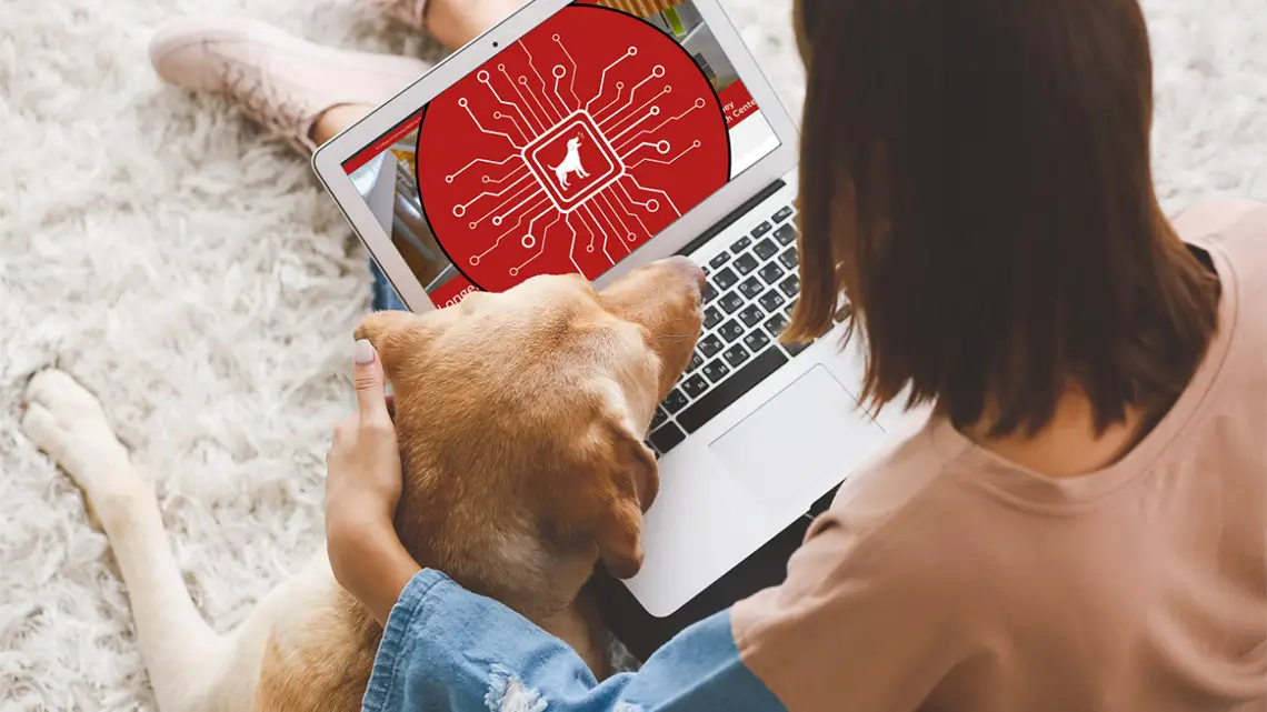Ny AI-chattbot ska hjälpa hundägare att tolka sjukdomssymptom Ny AI-chattbot ska hjälpa hundägare att tolka sjukdomssymptom